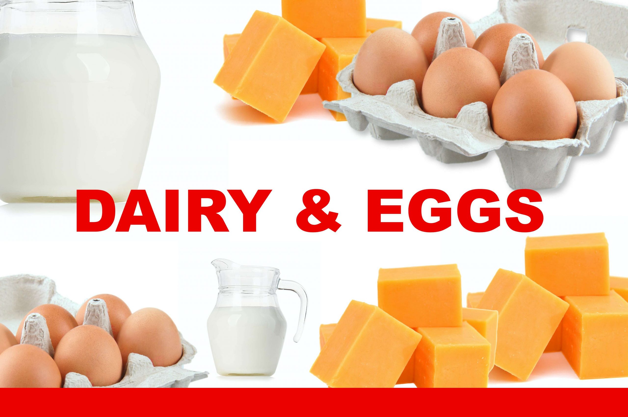 Eggs and Dairy products